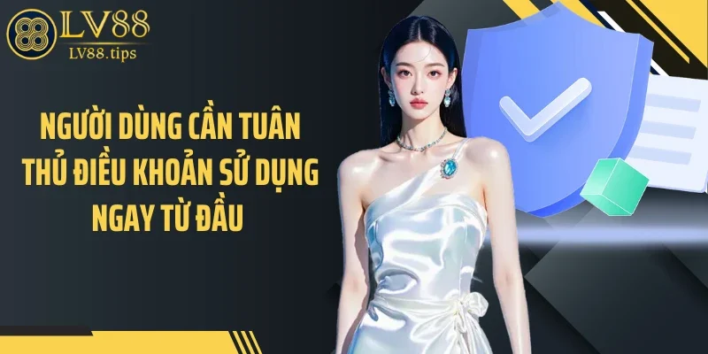 Người dùng cần tuân thủ điều khoản sử dụng ngay từ đầu 